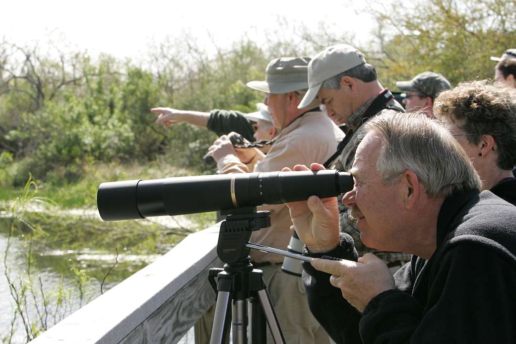 Are There Any Opportunities for Birdwatching on Mt Kenya? 11 Are There Any Opportunities for Birdwatching on Mt Kenya?