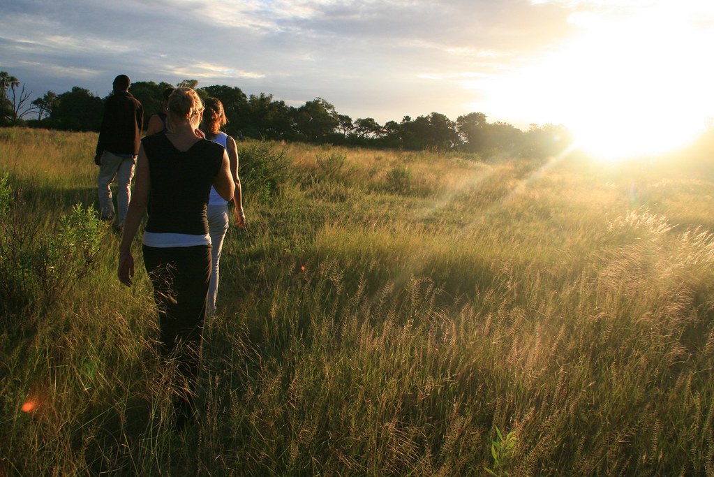 Understanding the Challenges and Considerations of a Walking Safari in Maasai Mara