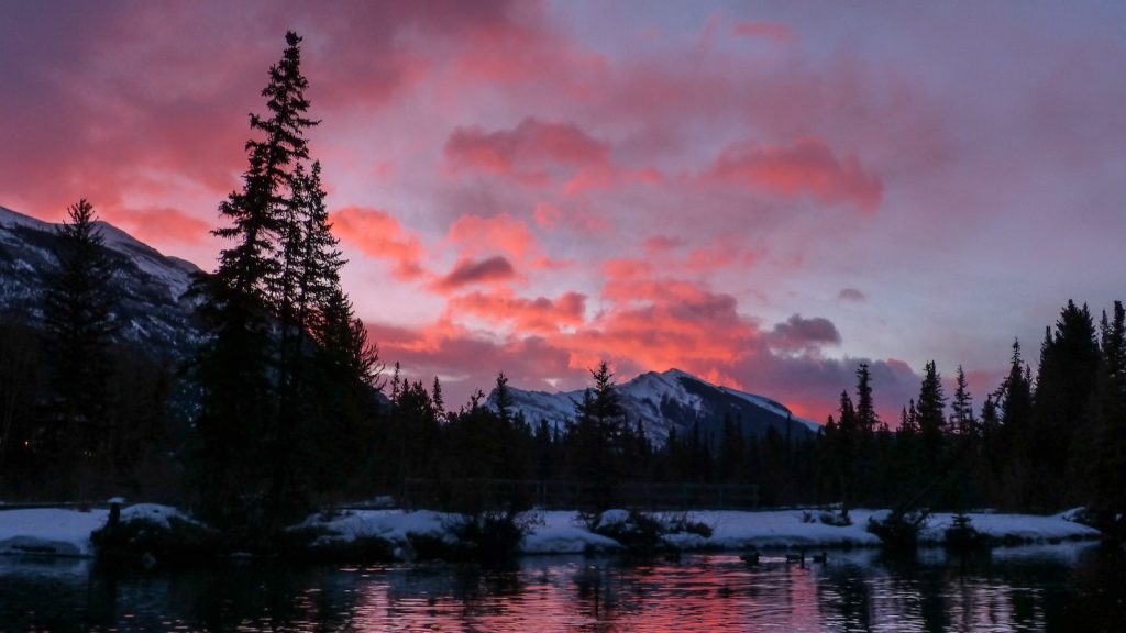 Can I Experience a Sunrise Meditation Session on the Slopes of Mt. Kenya?