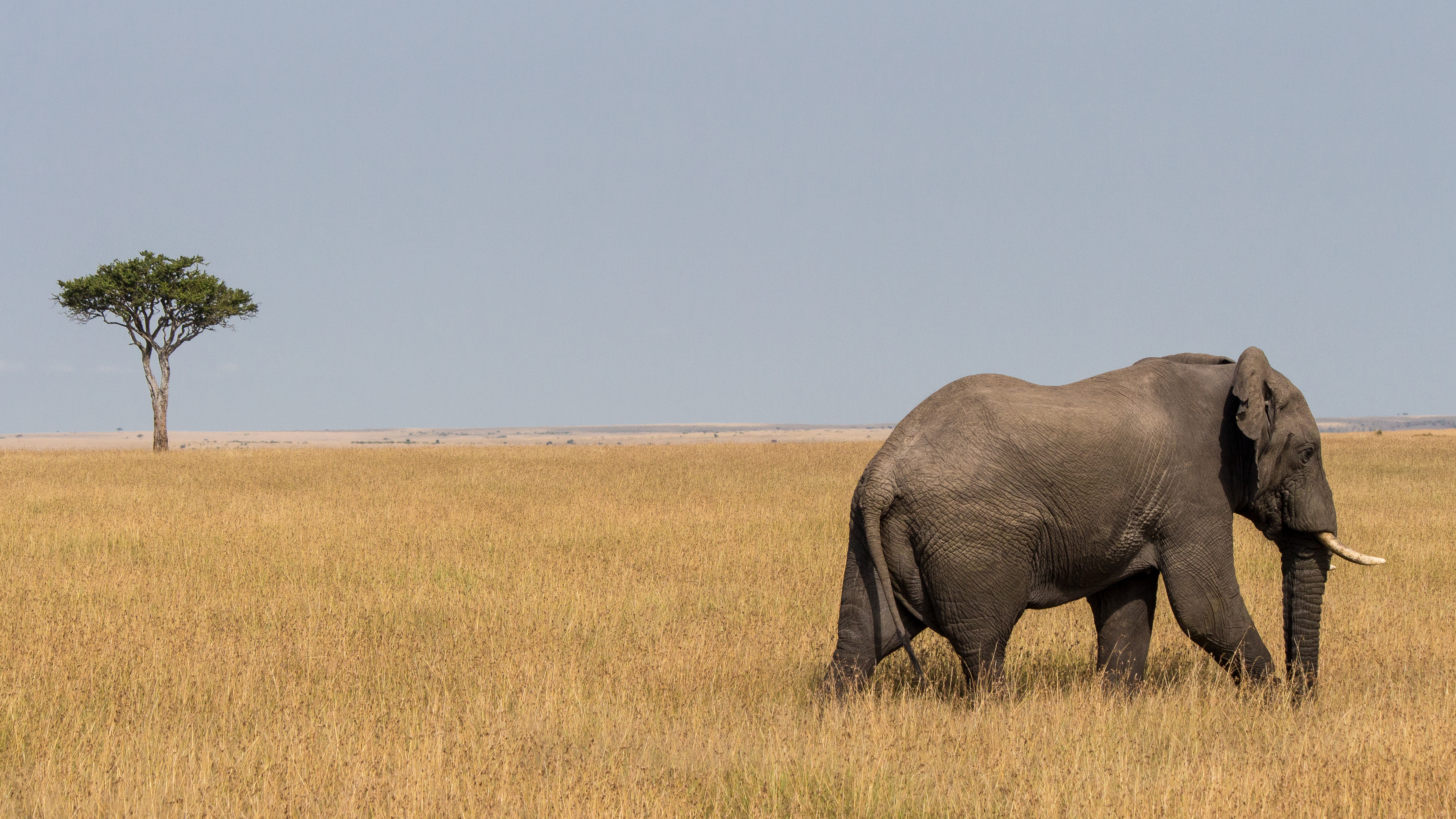 Heading 2: Connecting with Maasai Mara's Geological Marvels: A Journey through Time