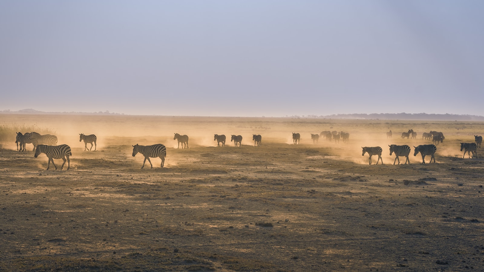 Heading 3: Unforgettable Encounters: Top Recommendations for a Walking Safari in Maasai Mara