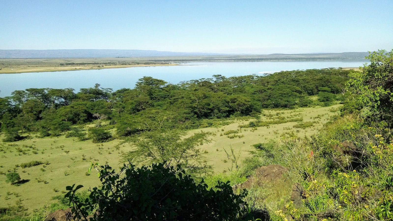 Mt Kenya