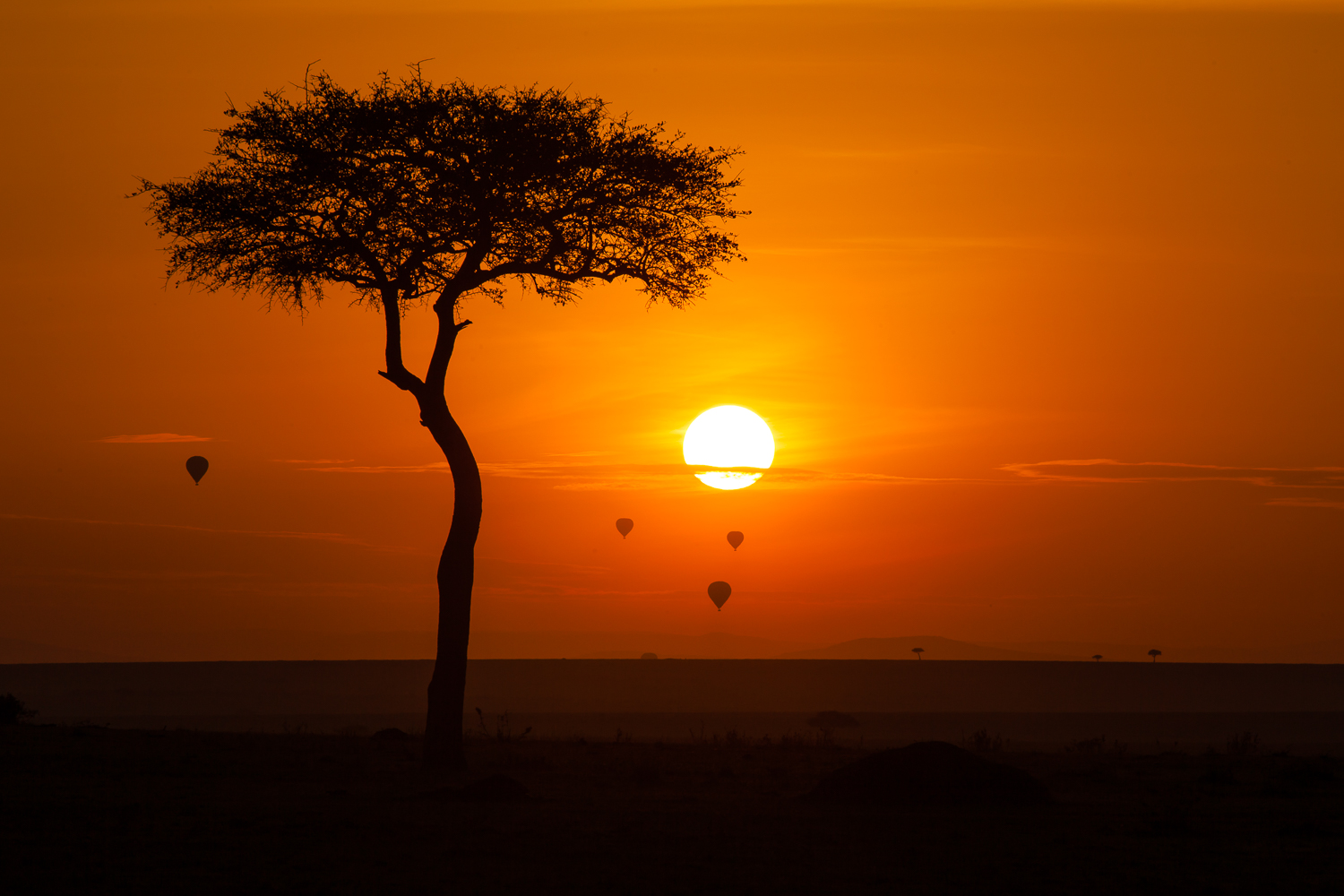 Enhancing Cultural Exchange & Eco-tourism: A Win-Win for Maasai Mara's Local Communities and Visitors