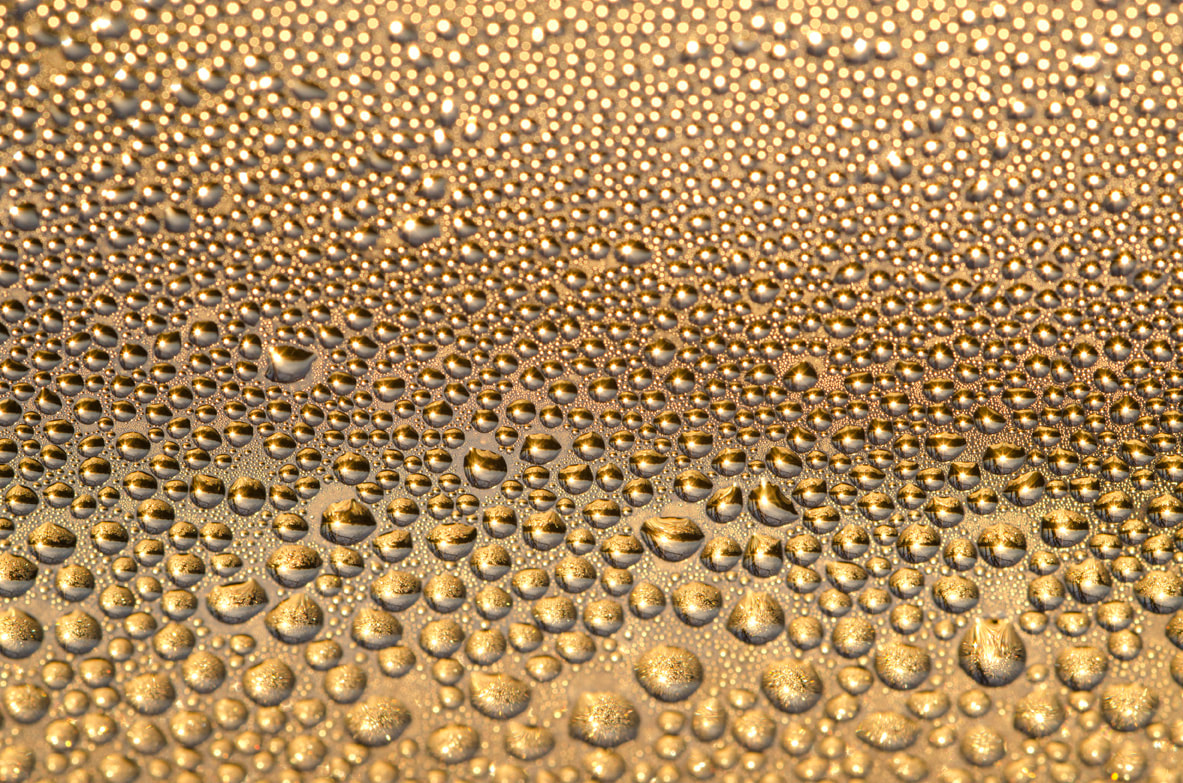 detail photograph