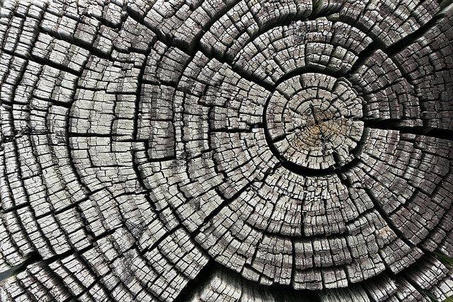 detail photograph